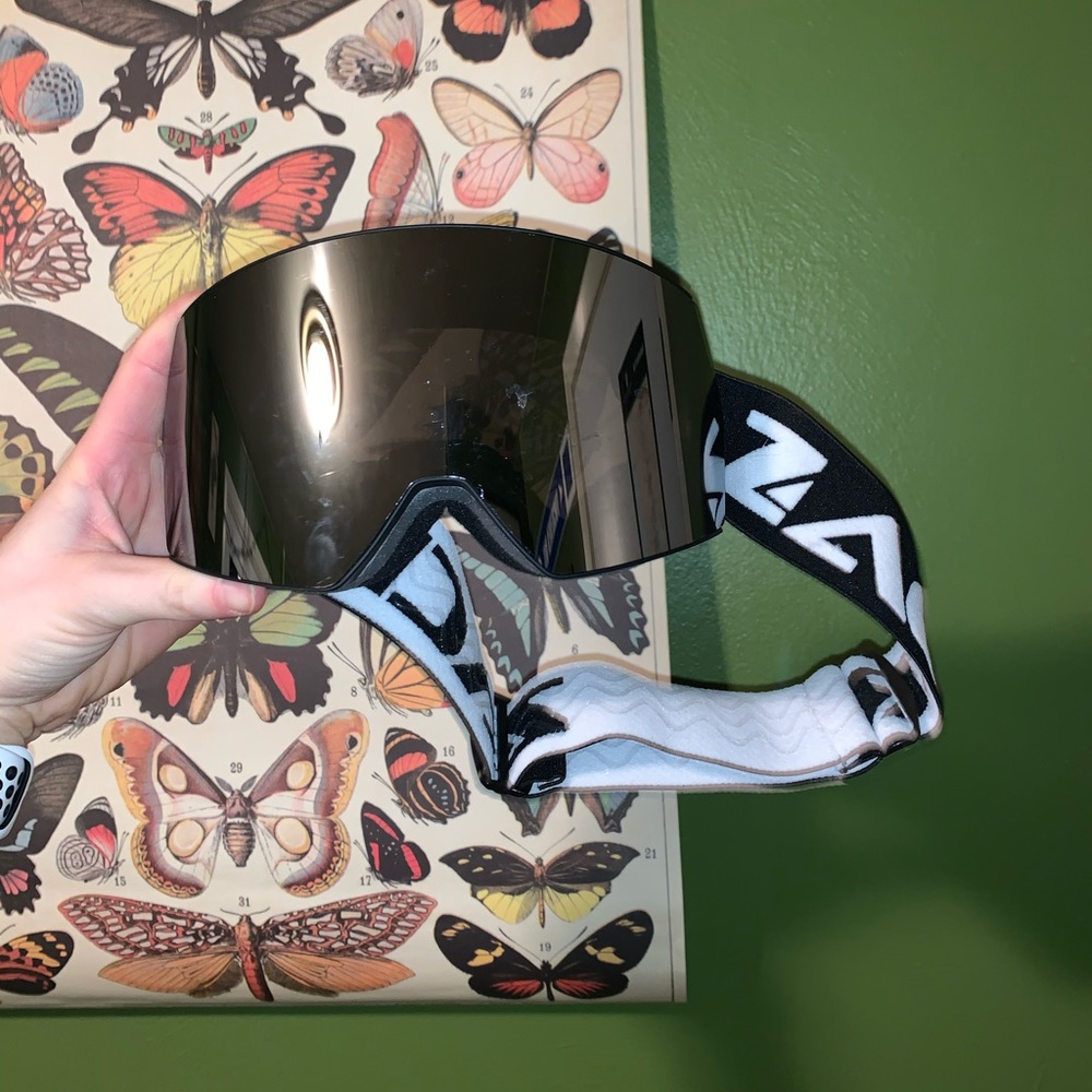 Ski goggles